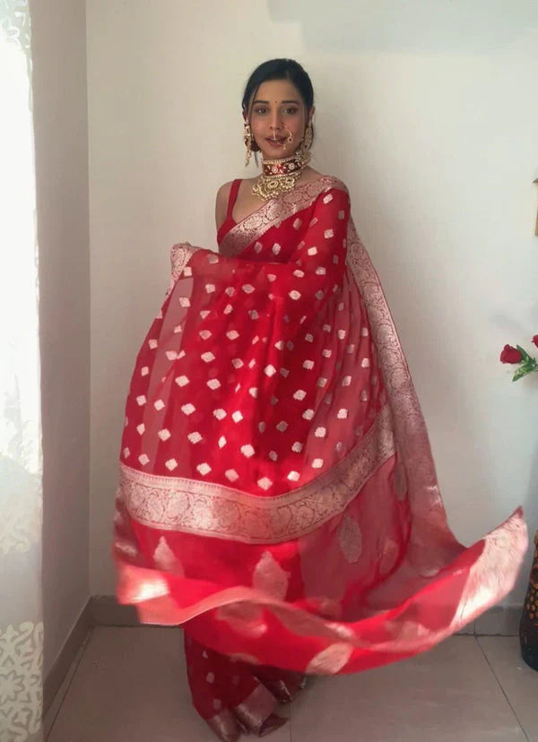 Stunning 1 Minute Ready to Wear Saree